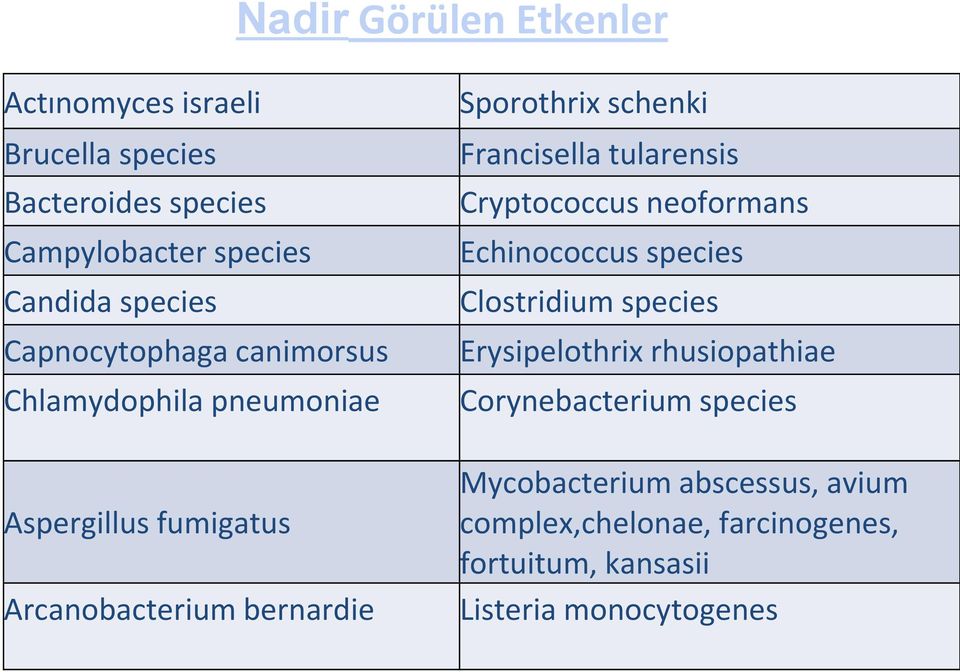 Francisella tularensis Cryptococcus neoformans Echinococcus species Clostridium species Erysipelothrix rhusiopathiae