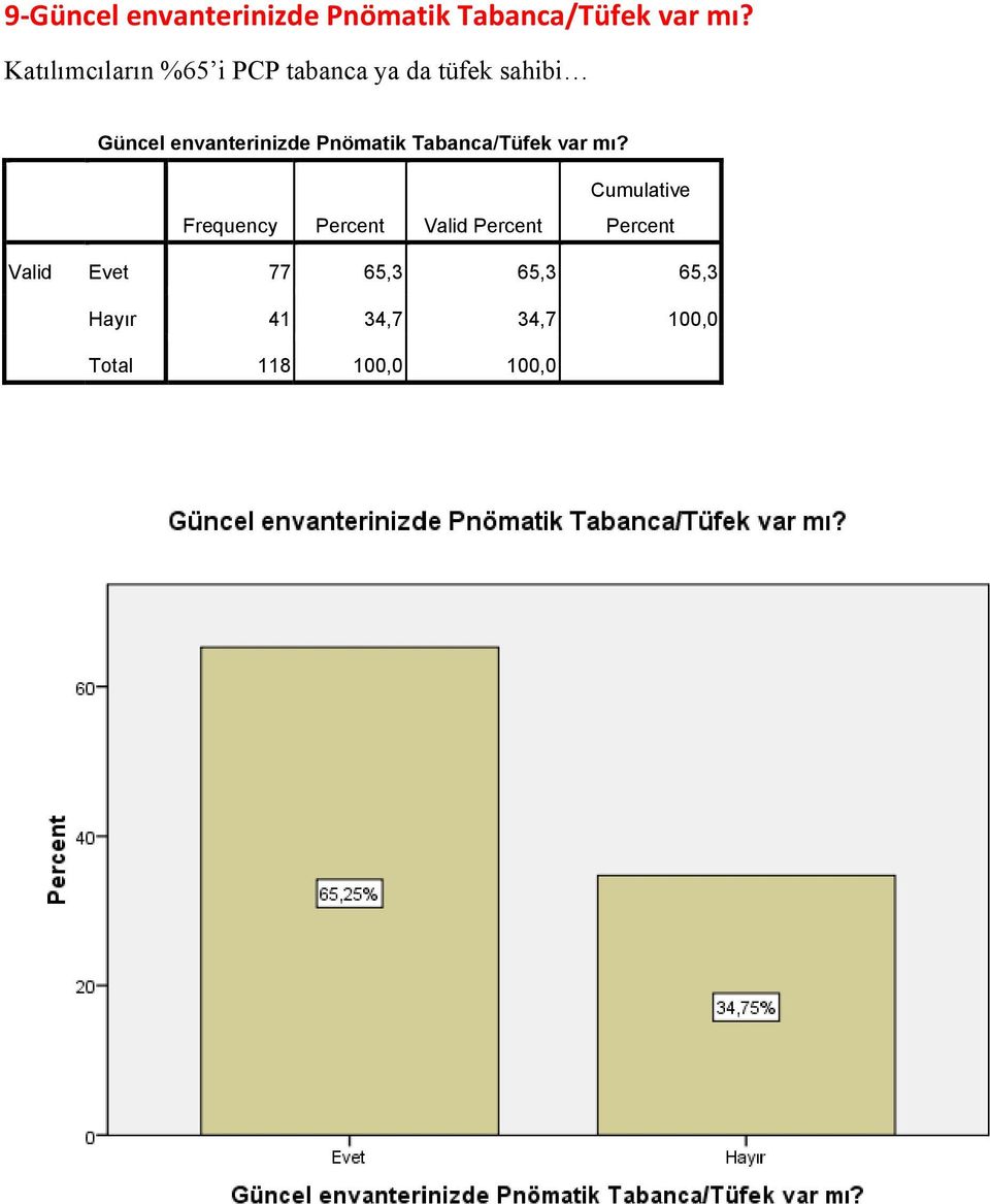 Güncel envanterinizde Pnömatik Tabanca/Tüfek var mı?