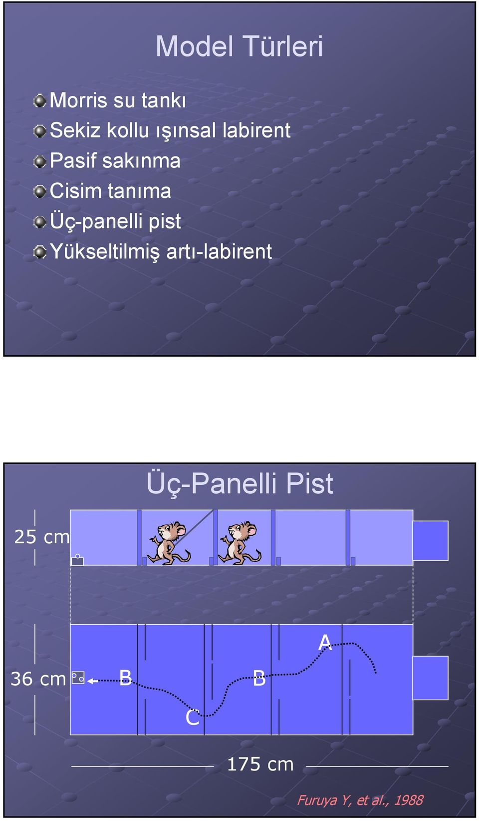 Üç-panelli pist Yükseltilmiş artı-labirent