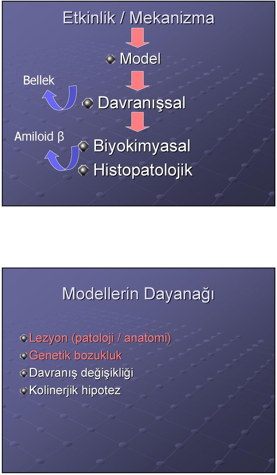 Modellerin Dayanağı Lezyon (patoloji / anatomi)