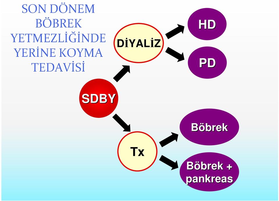 Böbrek Tx