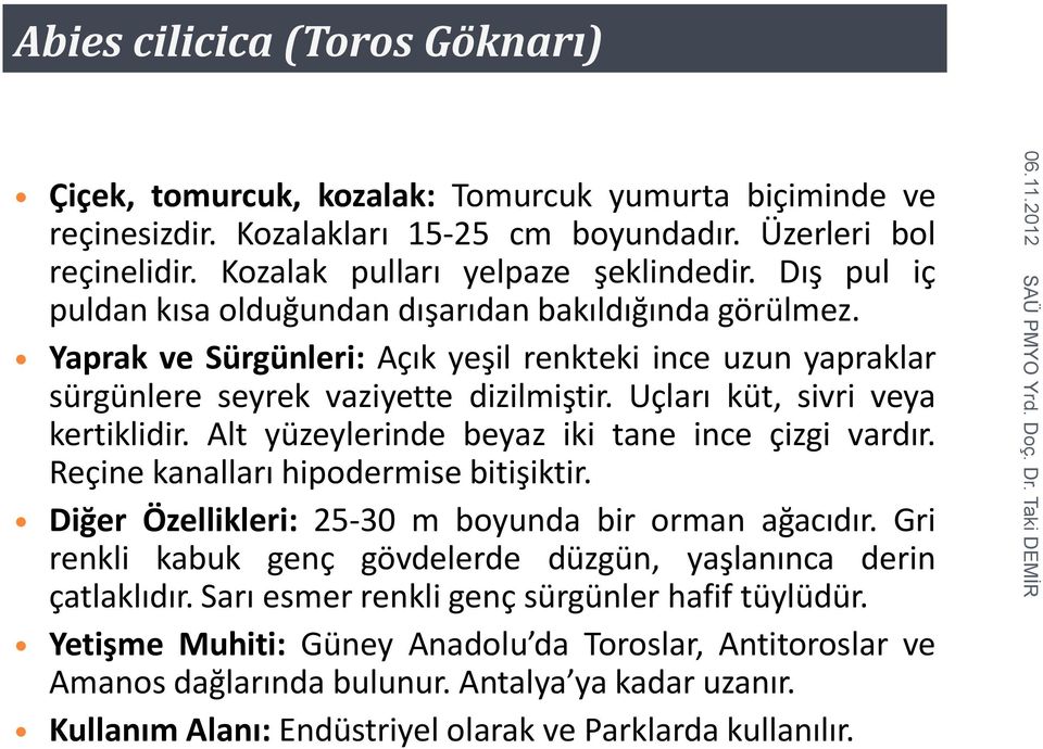 Uçları küt, sivri veya kertiklidir. Alt yüzeylerinde beyaz iki tane ince çizgi vardır. Reçine kanalları hipodermise bitişiktir. Diğer Özellikleri: 25-30 m boyunda bir orman ağacıdır.