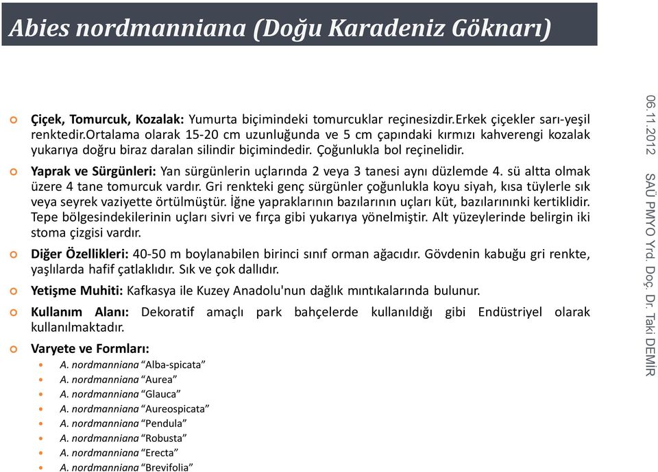 Yaprak ve Sürgünleri: Yan sürgünlerin uçlarında 2 veya 3 tanesi aynı düzlemde 4. sü altta olmak üzere 4 tane tomurcuk vardır.