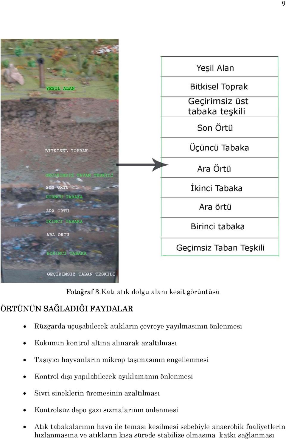 Kokunun kontrol altına alınarak azaltılması Taşıyıcı hayvanların mikrop taşımasının engellenmesi Kontrol dışı yapılabilecek