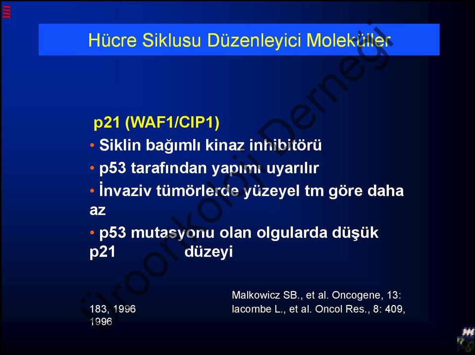 göre daha az p53 mutasyonu olan olgularda düşük p21 düzeyi Malkowicz SB.