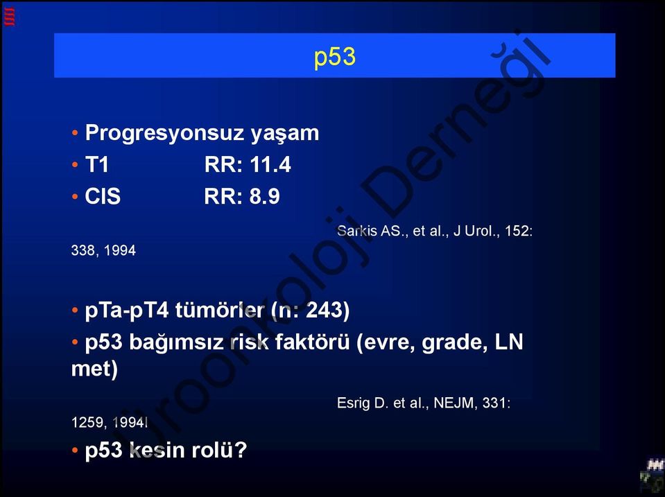 , 152: pta-pt4 tümörler (n: 243) p53 bağımsız risk