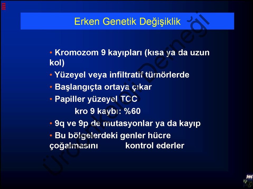 çıkar Papiller yüzeyel TCC kro 9 kaybı: %60 9q ve 9p de