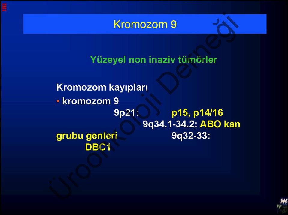 kromozom 9 9p21: p15, p14/16 9q34.