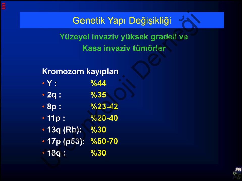 Kromozom kayıpları Y : %44 2q : %35 8p :