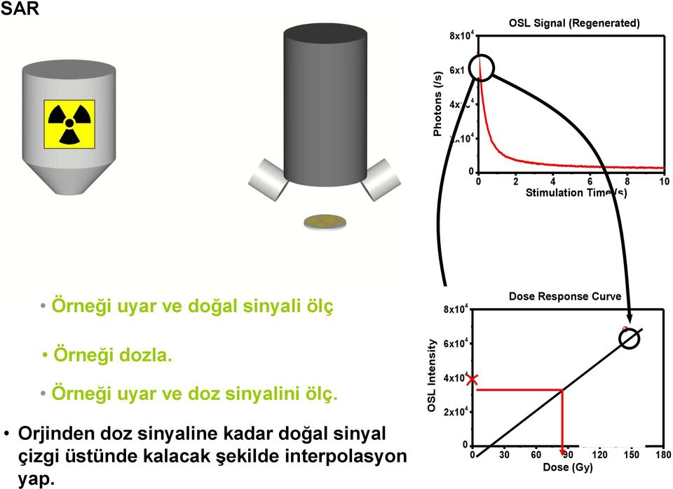 Response Curve Örneği dozla. Örneği uyar ve doz sinyalini ölç.