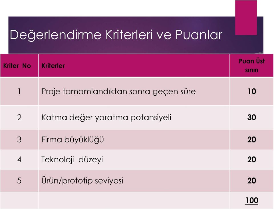 10 2 Katma değer yaratma potansiyeli 30 3 Firma