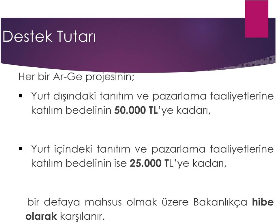 000 TL ye kadarı, Yurt içindeki tanıtım ve pazarlama faaliyetlerine