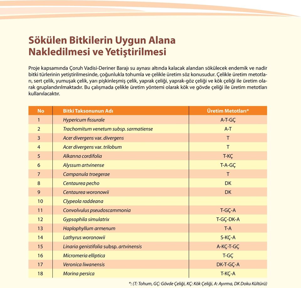 Çelikle üretim metotları, sert çelik, yumuşak çelik, yarı pişkinleşmiş çelik, yaprak çeliği, yaprak-göz çeliği ve kök çeliği ile üretim olarak gruplandırılmaktadır.