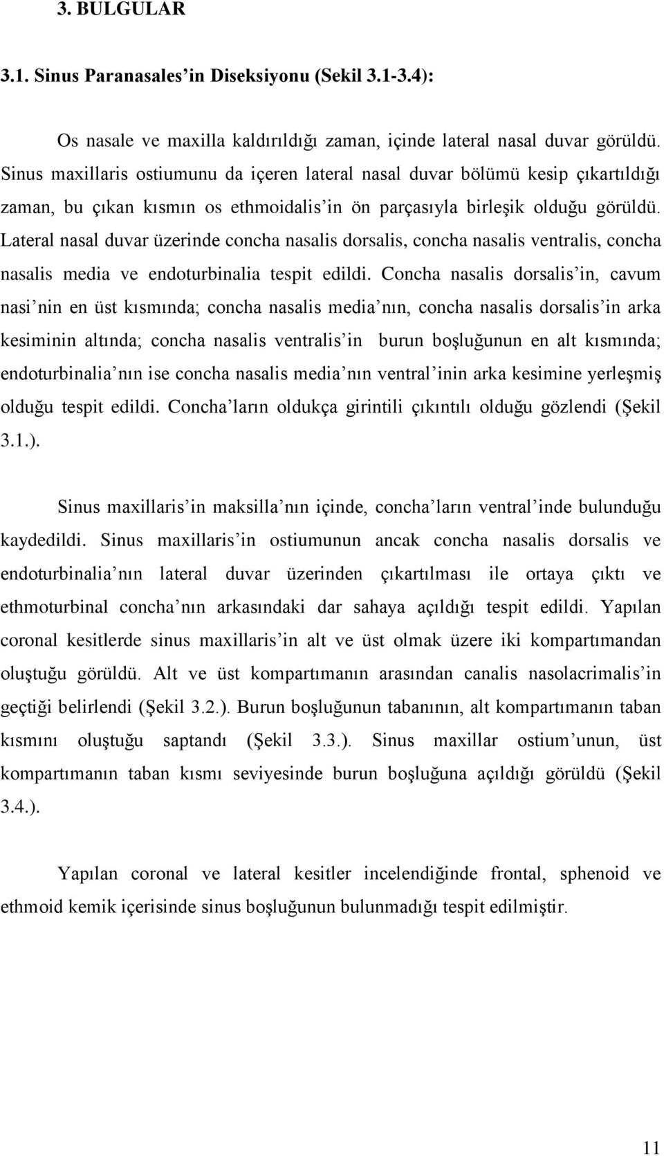 Lateral nasal duvar üzerinde concha nasalis dorsalis, concha nasalis ventralis, concha nasalis media ve endoturbinalia tespit edildi.