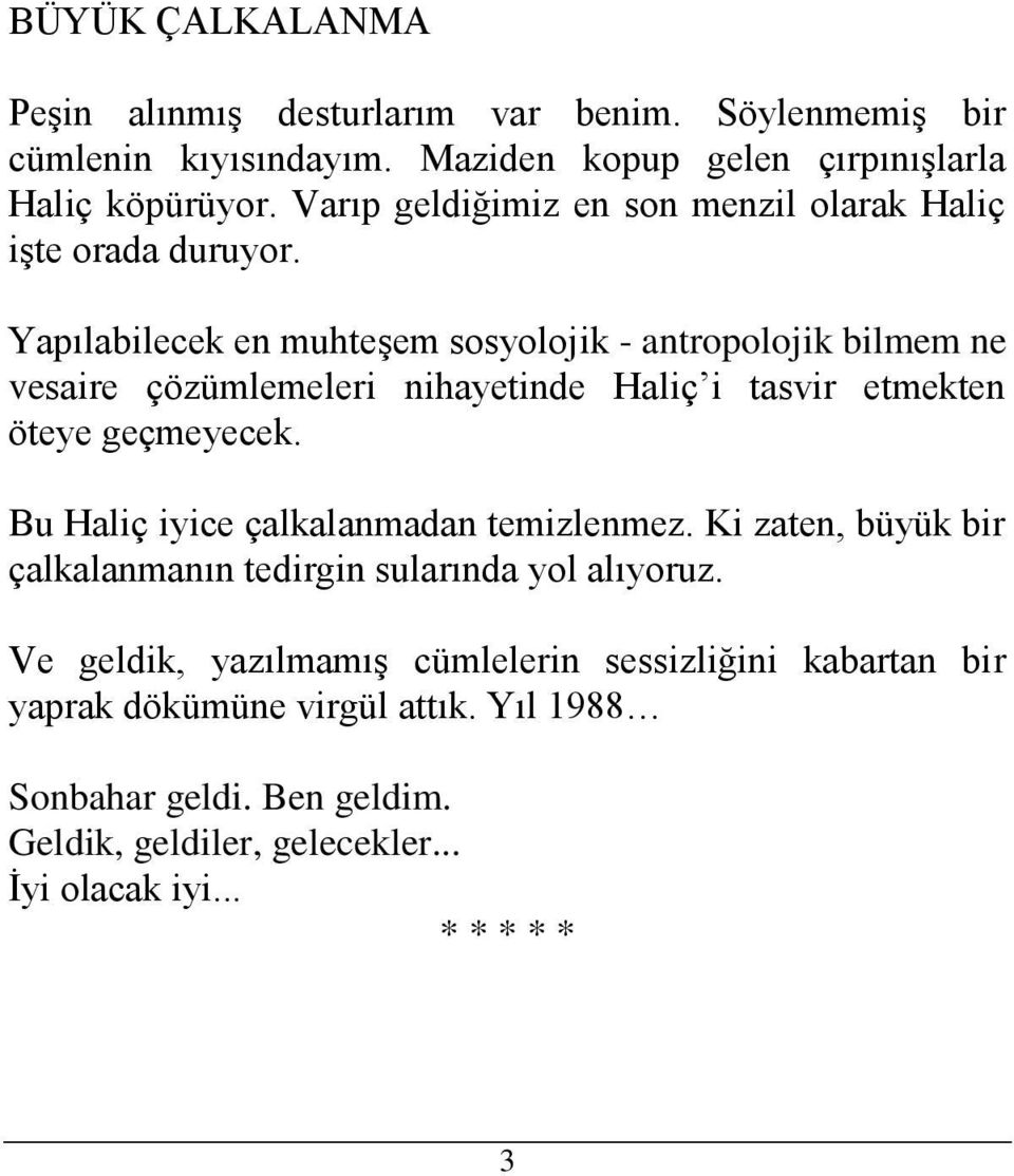 Yapılabilecek en muhteşem sosyolojik - antropolojik bilmem ne vesaire çözümlemeleri nihayetinde Haliç i tasvir etmekten öteye geçmeyecek.