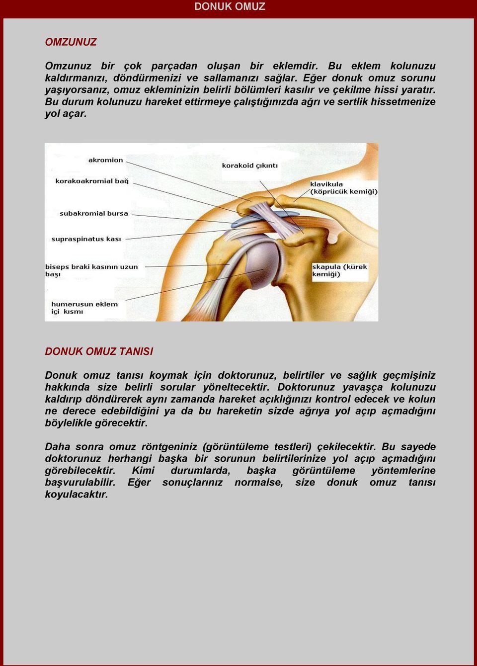 DONUK OMUZ TANISI Donuk omuz tanısı koymak için doktorunuz, belirtiler ve sağlık geçmişiniz hakkında size belirli sorular yöneltecektir.