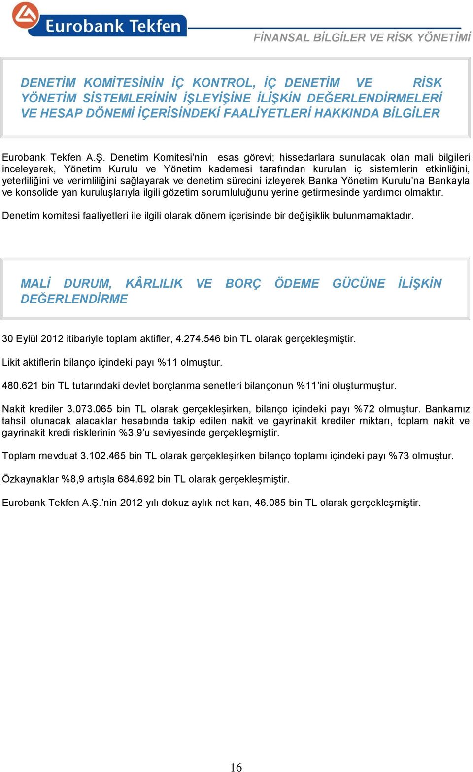 Denetim Komitesi nin esas görevi; hissedarlara sunulacak olan mali bilgileri inceleyerek, Yönetim Kurulu ve Yönetim kademesi tarafından kurulan iç sistemlerin etkinliğini, yeterliliğini ve