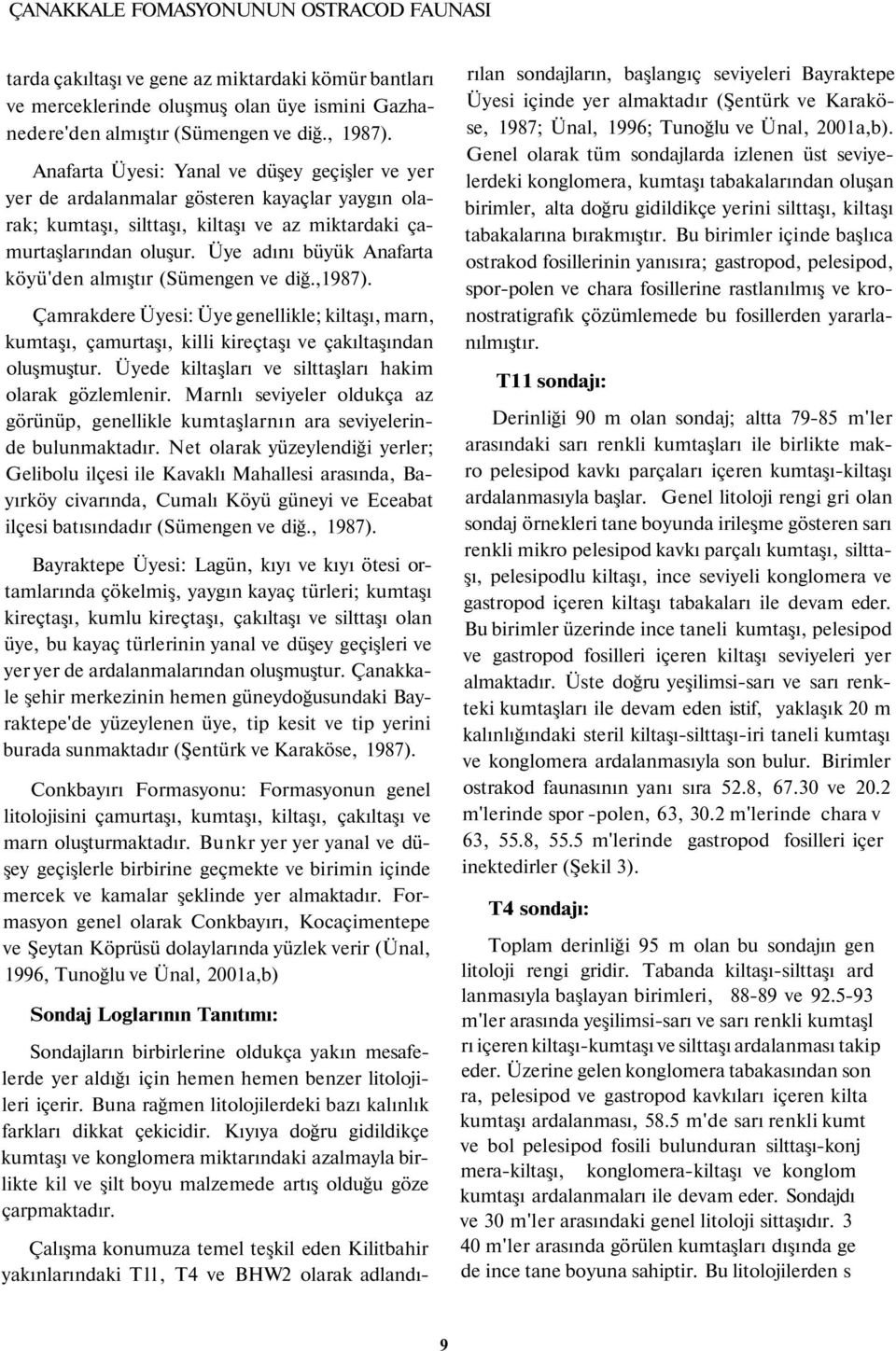 Üye adını büyük Anafarta köyü'den almıştır (Sümengen ve diğ.,1987). Çamrakdere Üyesi: Üye genellikle; kiltaşı, marn, kumtaşı, çamurtaşı, killi kireçtaşı ve çakıltaşından oluşmuştur.