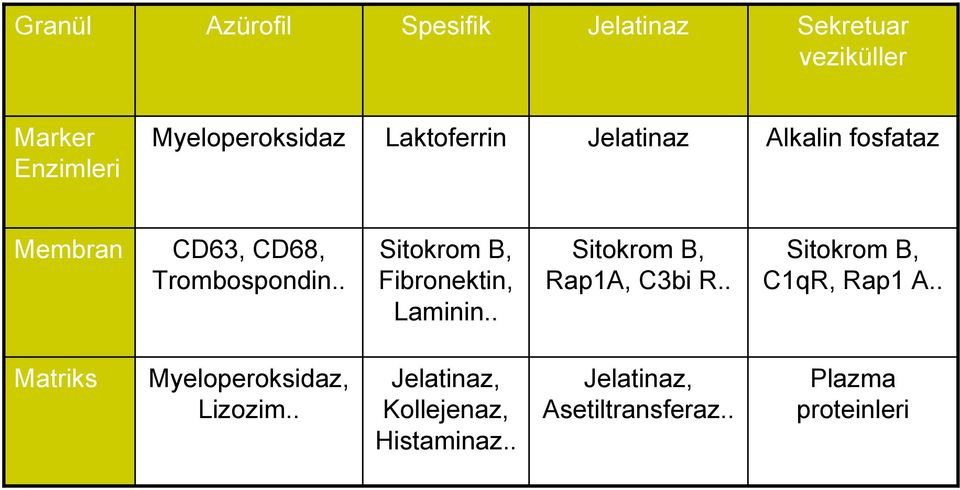 . Sitokrom B, Fibronektin, Laminin.. Sitokrom B, Rap1A, C3bi R.. Sitokrom B, C1qR, Rap1 A.