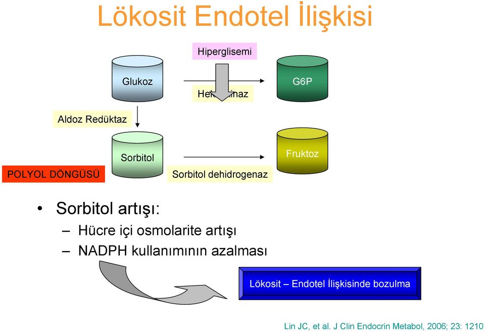 artışı: Hücre içi osmolarite artışı NADPH kullanımının azalması Lökosit