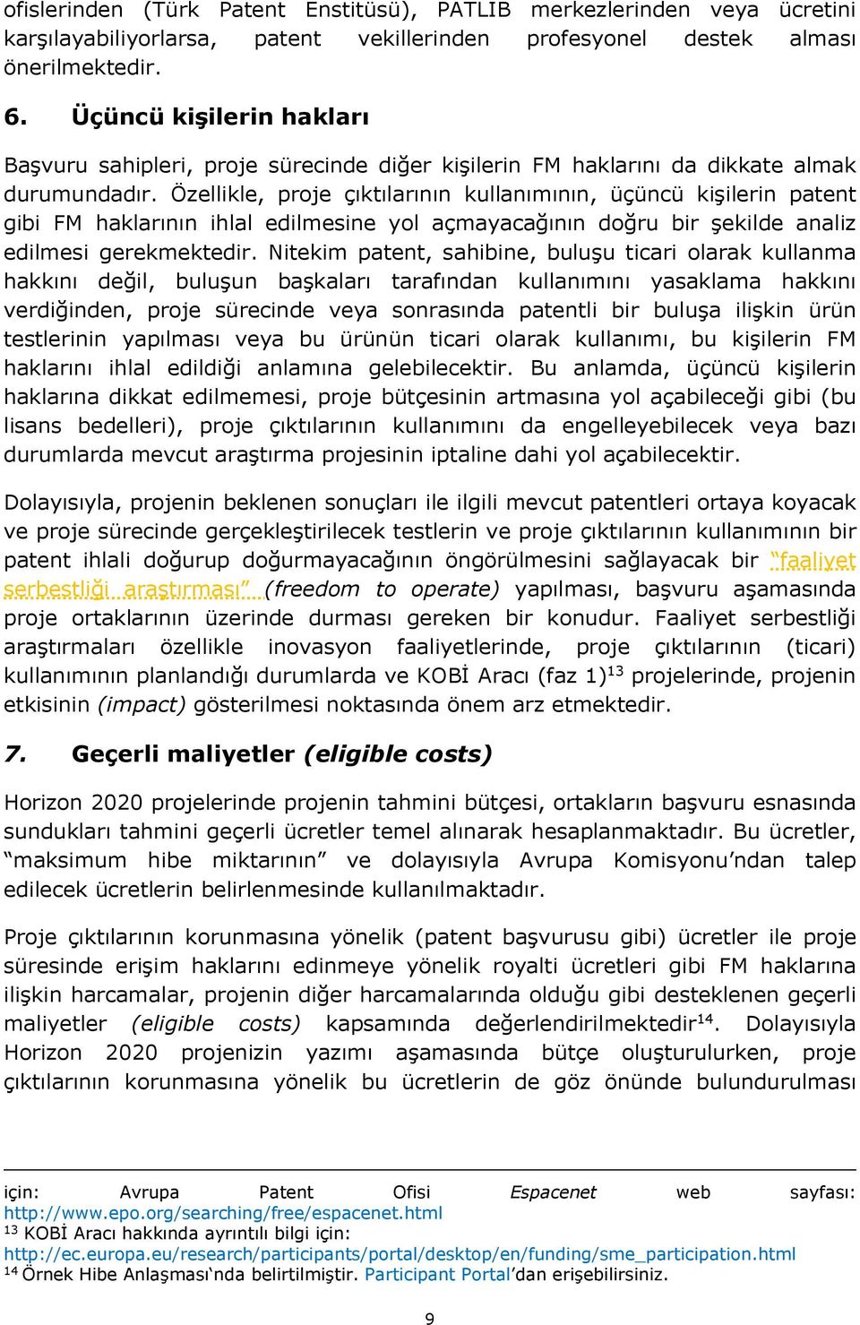 Özellikle, proje çıktılarının kullanımının, üçüncü kişilerin patent gibi FM haklarının ihlal edilmesine yol açmayacağının doğru bir şekilde analiz edilmesi gerekmektedir.