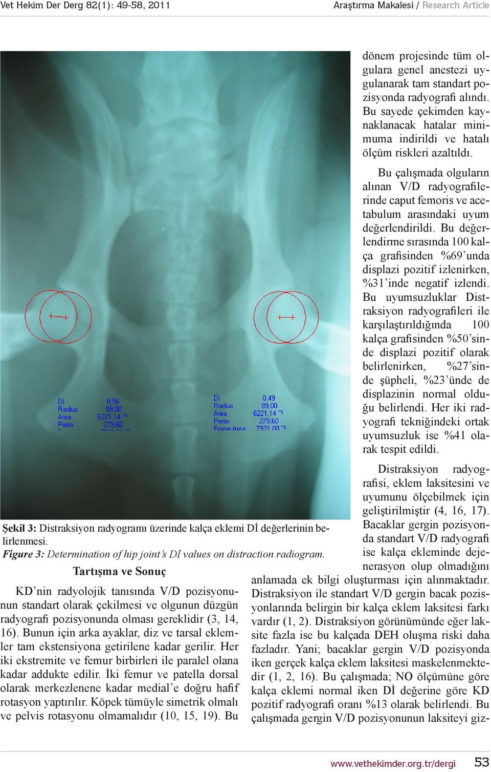 Bu çalışmada olguların alınan V/ radyografilerinde caput femoris ve acetabulum arasındaki uyum değerlendirildi.