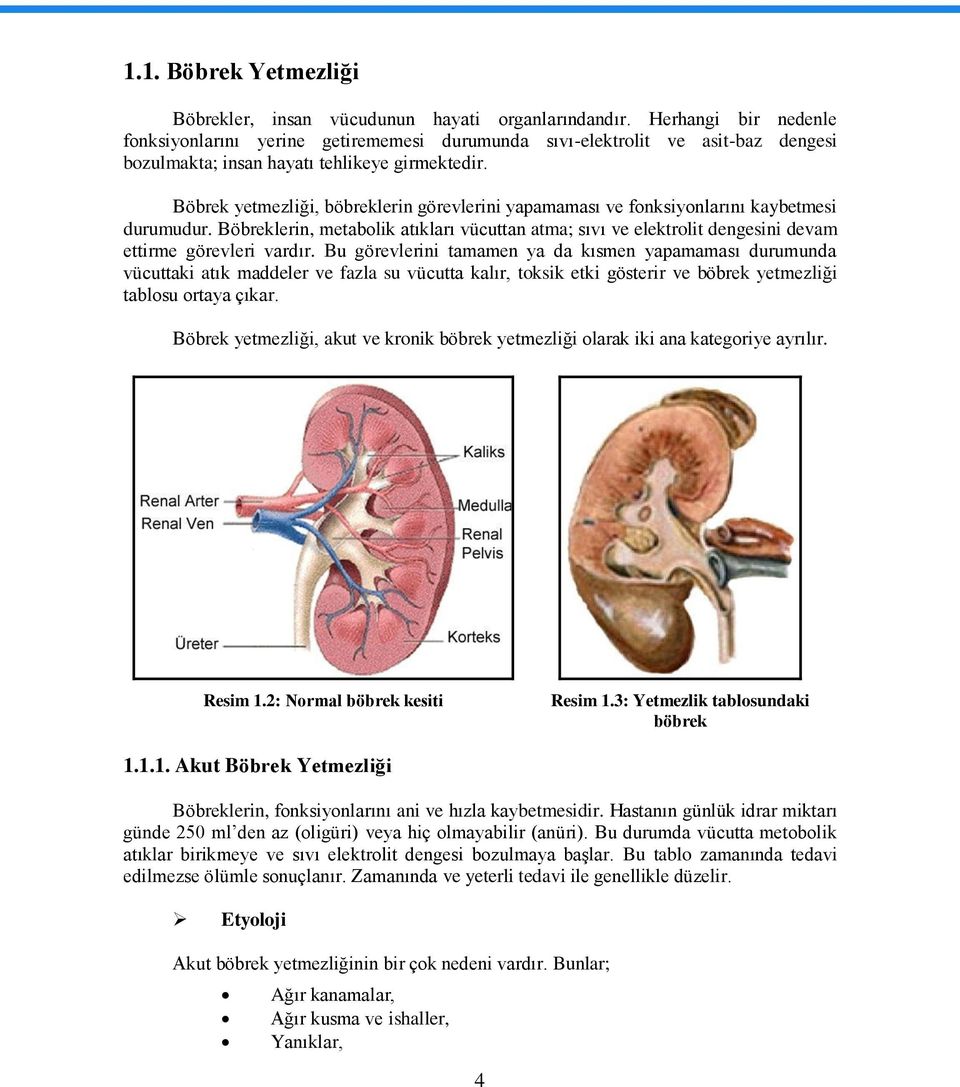 Böbrek yetmezliği, böbreklerin görevlerini yapamaması ve fonksiyonlarını kaybetmesi durumudur.