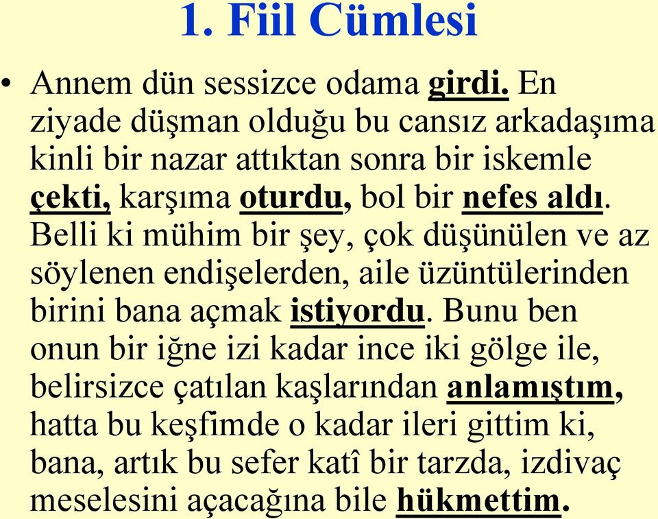 aldı. Belli ki mühim bir şey, çok düşünülen ve az söylenen endişelerden, aile üzüntülerinden birini bana açmak istiyordu.