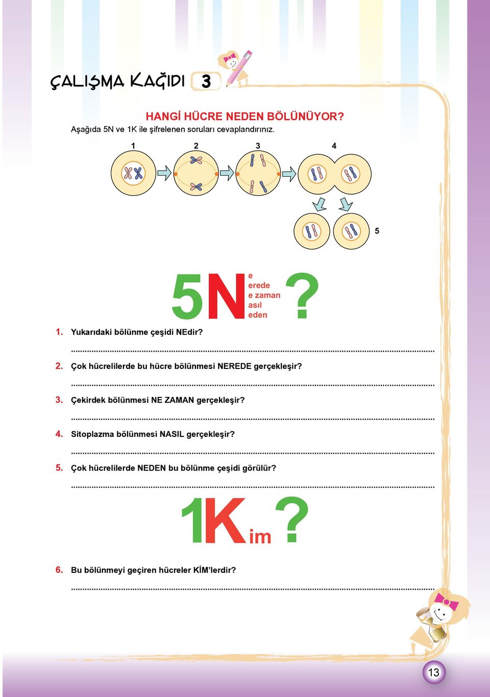 3. Çekirdek bölünmesi NE ZAMAN gerçekleşir? 4. Sitoplazma bölünmesi NASIL gerçekleşir? 5.