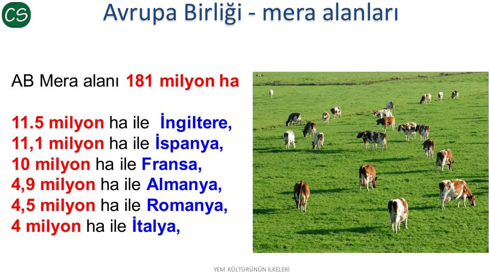 5 milyon ha ile İngiltere, 11,1 milyon ha ile İspanya,