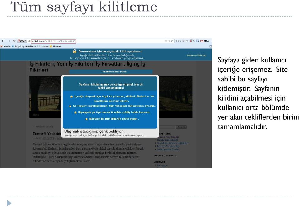 Site sahibi bu sayfayı kitlemiştir.