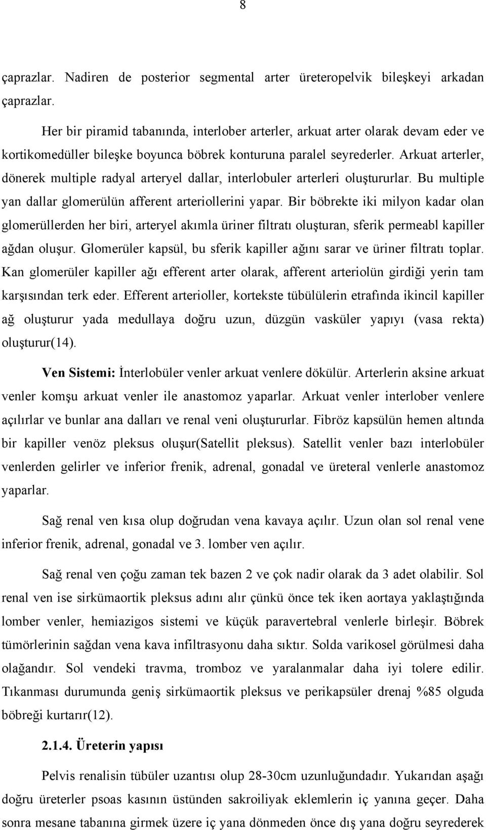 Arkuat arterler, dönerek multiple radyal arteryel dallar, interlobuler arterleri oluştururlar. Bu multiple yan dallar glomerülün afferent arteriollerini yapar.