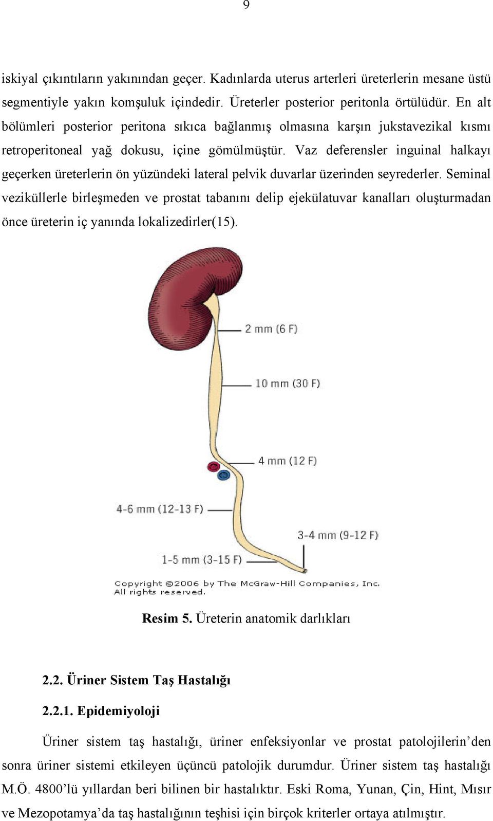 Vaz deferensler inguinal halkayı geçerken üreterlerin ön yüzündeki lateral pelvik duvarlar üzerinden seyrederler.