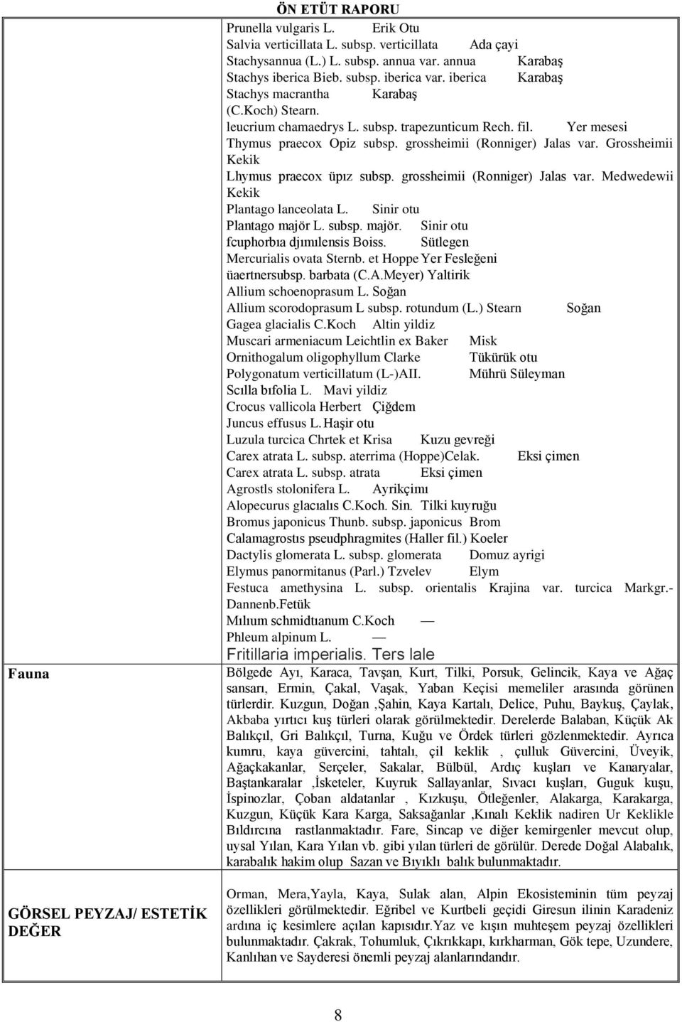 Yer mesesi Thymus praecox Opiz subsp. grossheimii (Ronniger) Jalas var. Grossheimii Kekik Lhymus praecox üpız subsp. grossheimii (Ronniger) Jalas var. Medwedewii Kekik Plantago lanceolata L.