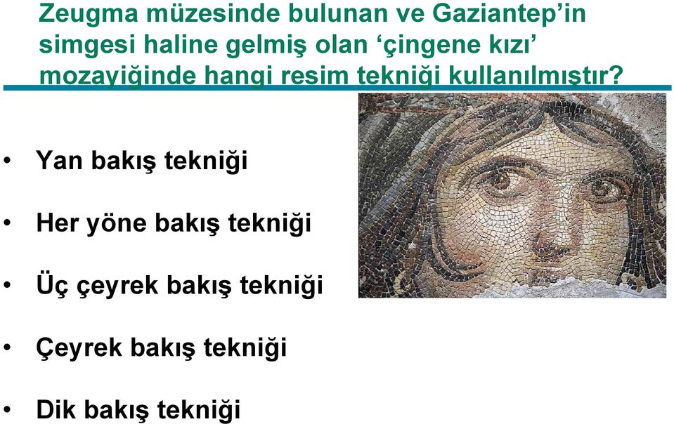 kullanılmıştır?