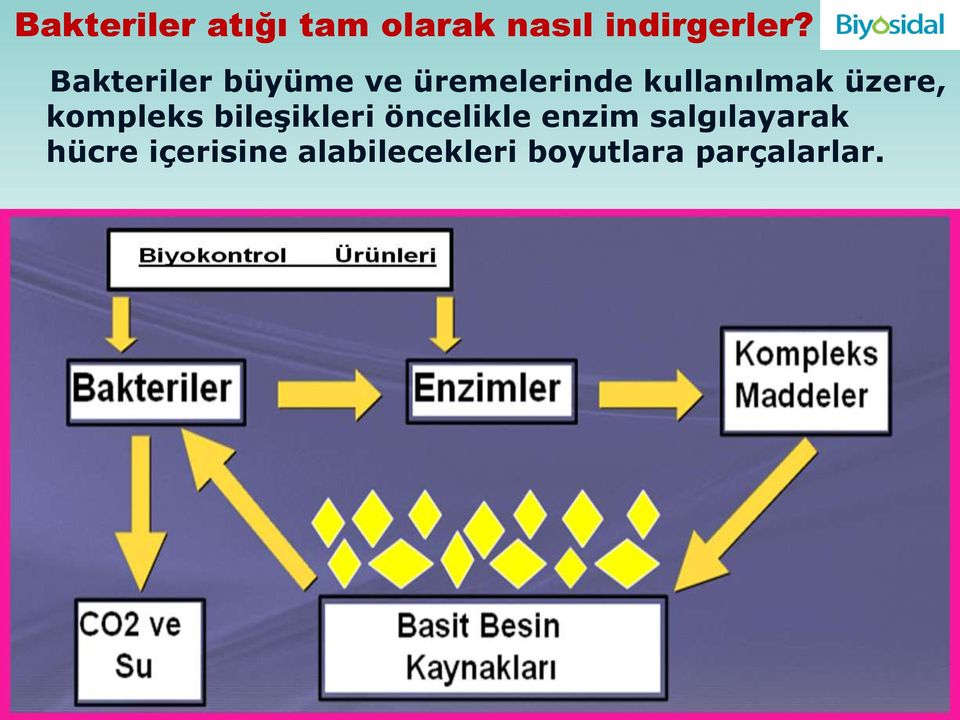 üzere, kompleks bileşikleri öncelikle enzim