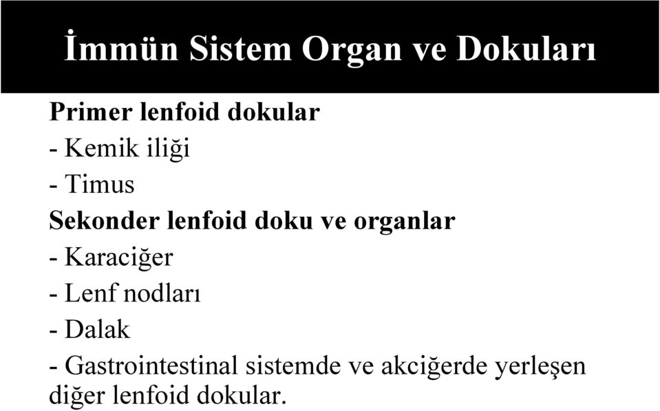 organlar - Karaciğer - Lenf nodları - Dalak -