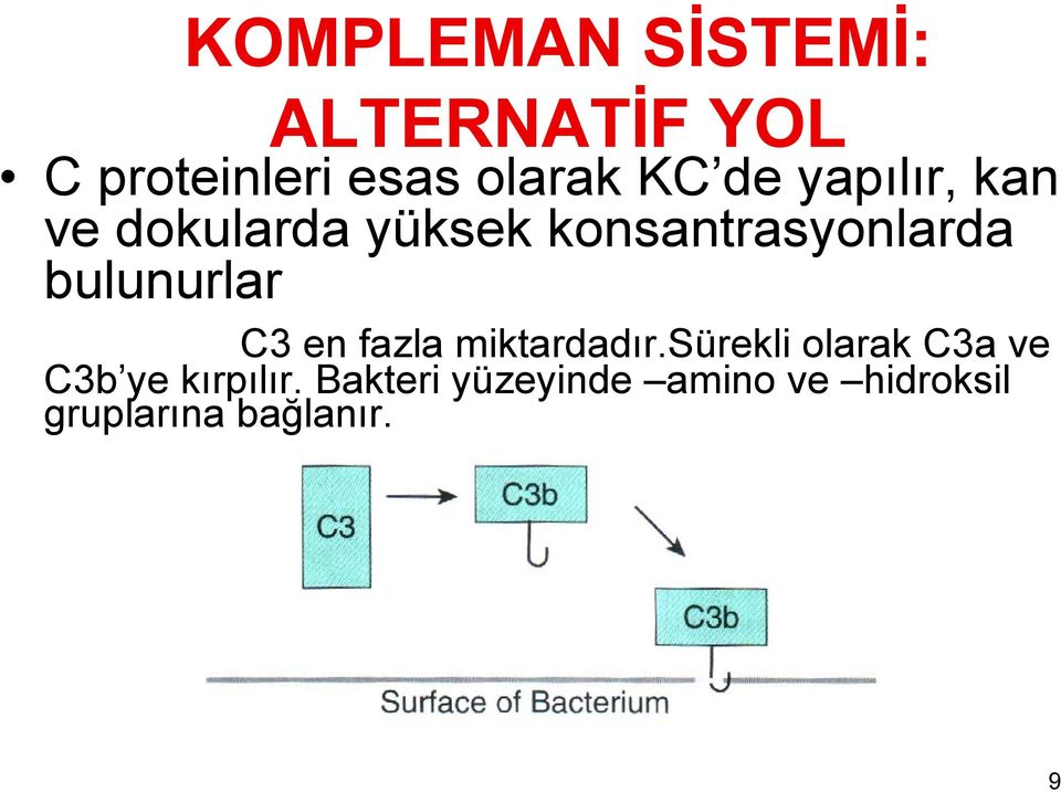 bulunurlar C3 en fazla miktardadır.