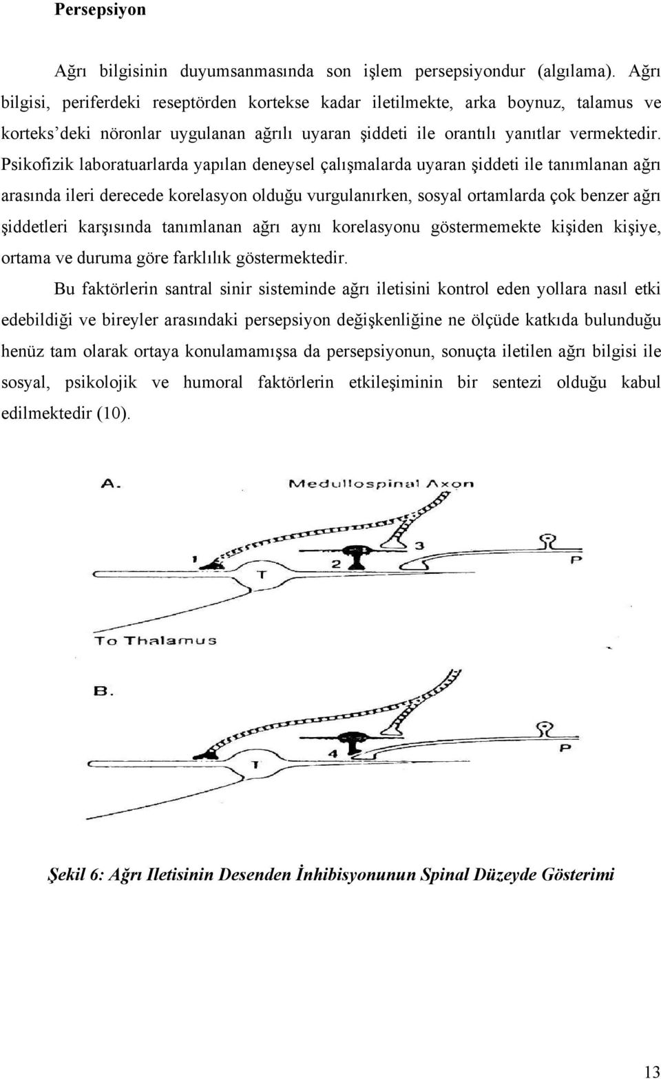 Psikofizik laboratuarlarda yapılan deneysel çalışmalarda uyaran şiddeti ile tanımlanan ağrı arasında ileri derecede korelasyon olduğu vurgulanırken, sosyal ortamlarda çok benzer ağrı şiddetleri