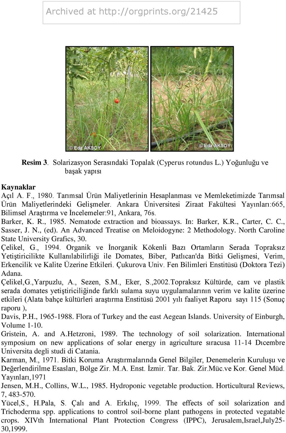 Ankara Üniversitesi Ziraat Fakültesi Yayınları:665, Bilimsel Araştırma ve İncelemeler:91, Ankara, 76s. Barker, K. R., 1985. Nematode extraction and bioassays. In: Barker, K.R., Carter, C. C., Sasser, J.