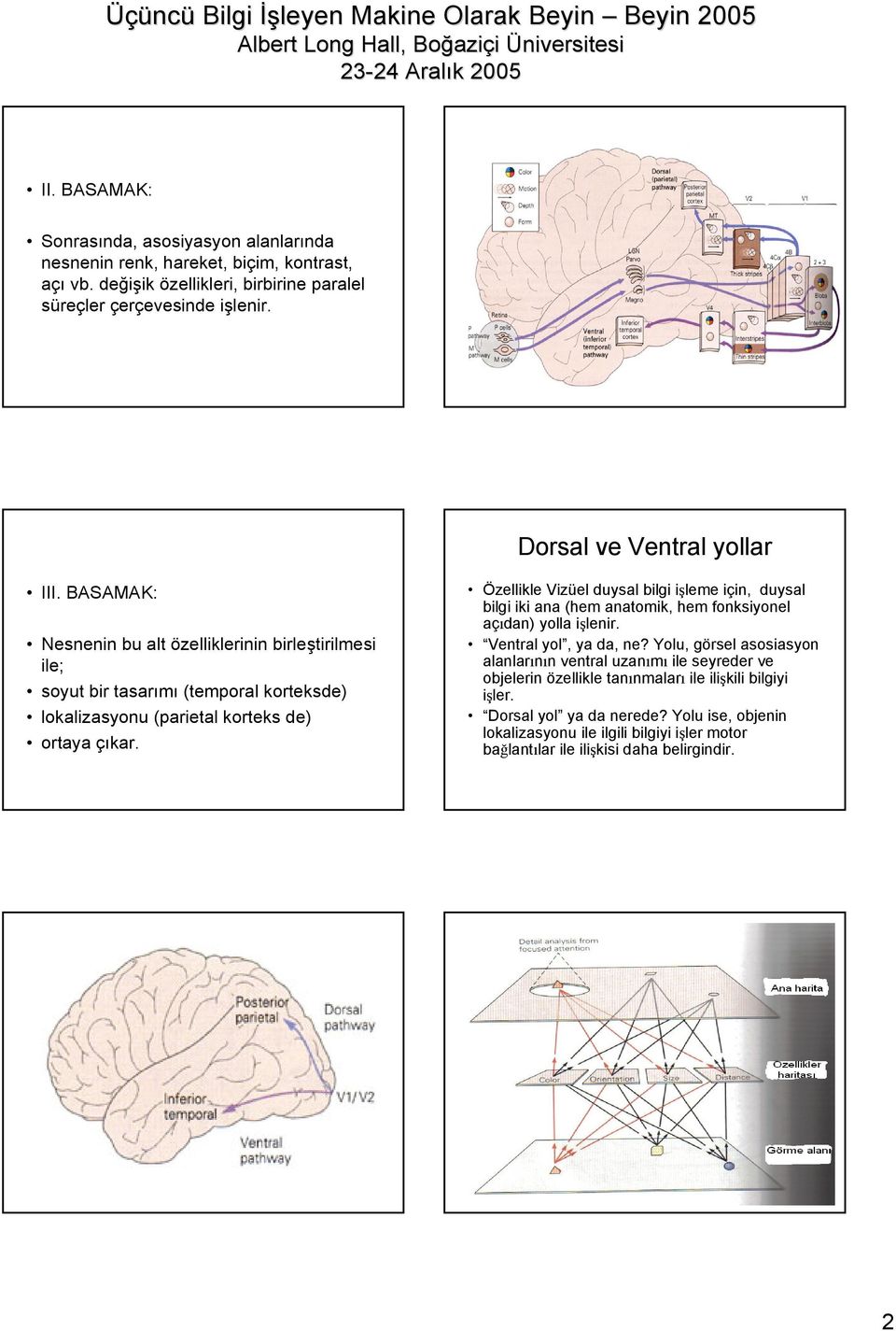 Özellikle Vizüel duysal bilgi işleme için, duysal bilgi iki ana (hem anatomik, hem fonksiyonel açıdan) yolla işlenir. Ventral yol, ya da, ne?