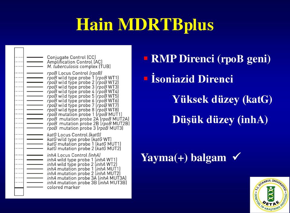 Direnci Yüksek düzey (katg)