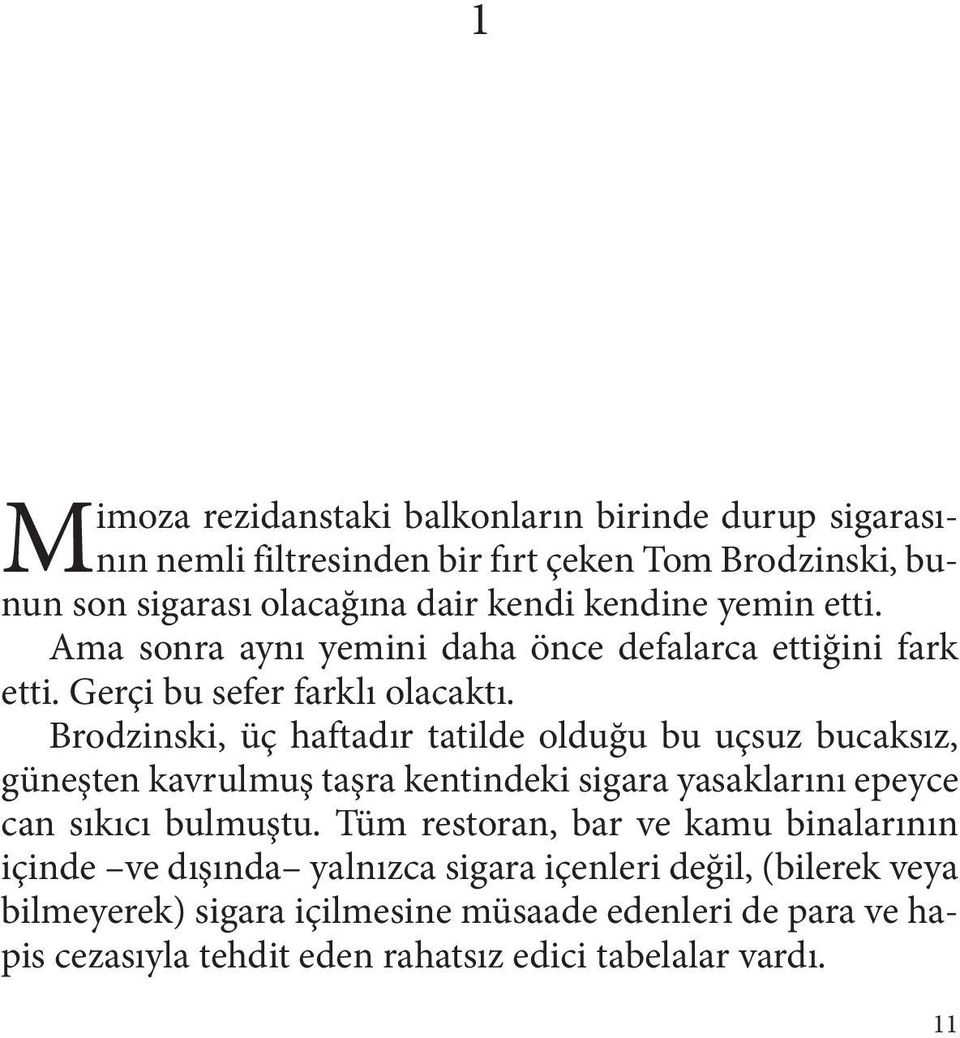 Brodzinski, üç haftadır tatilde olduğu bu uçsuz bucaksız, güneşten kavrulmuş taşra kentindeki sigara yasaklarını epeyce can sıkıcı bulmuştu.