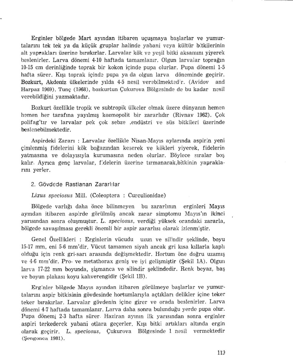 Pupa dönemi ı-s hafta sürer. Kışı toprak içinde pupa ya da olgun larva döneminde geçirir. Bozkurt, Akdeniz ülkelerinde yılda 4-S nesil verebilmektedr. (Avidov and Harpaz 1969).