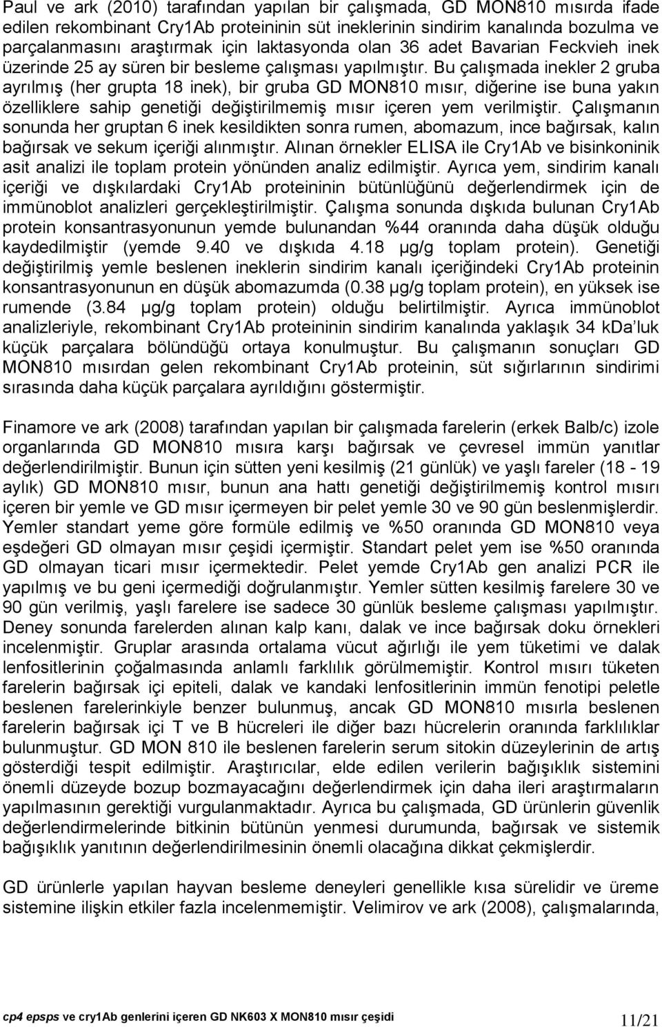 Bu çalışmada inekler 2 gruba ayrılmış (her grupta 18 inek), bir gruba GD MON810 mısır, diğerine ise buna yakın özelliklere sahip genetiği değiştirilmemiş mısır içeren yem verilmiştir.