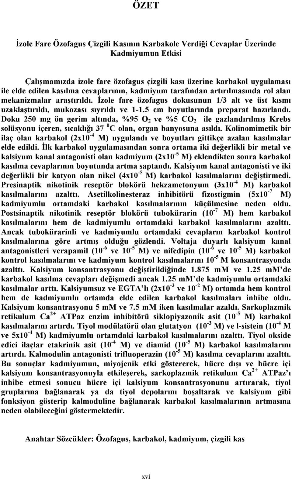 5 cm boyutlarında preparat hazırlandı. Doku 250 mg ön gerim altında, %95 O 2 ve %5 CO 2 ile gazlandırılmış Krebs solüsyonu içeren, sıcaklığı 37 0 C olan, organ banyosuna asıldı.