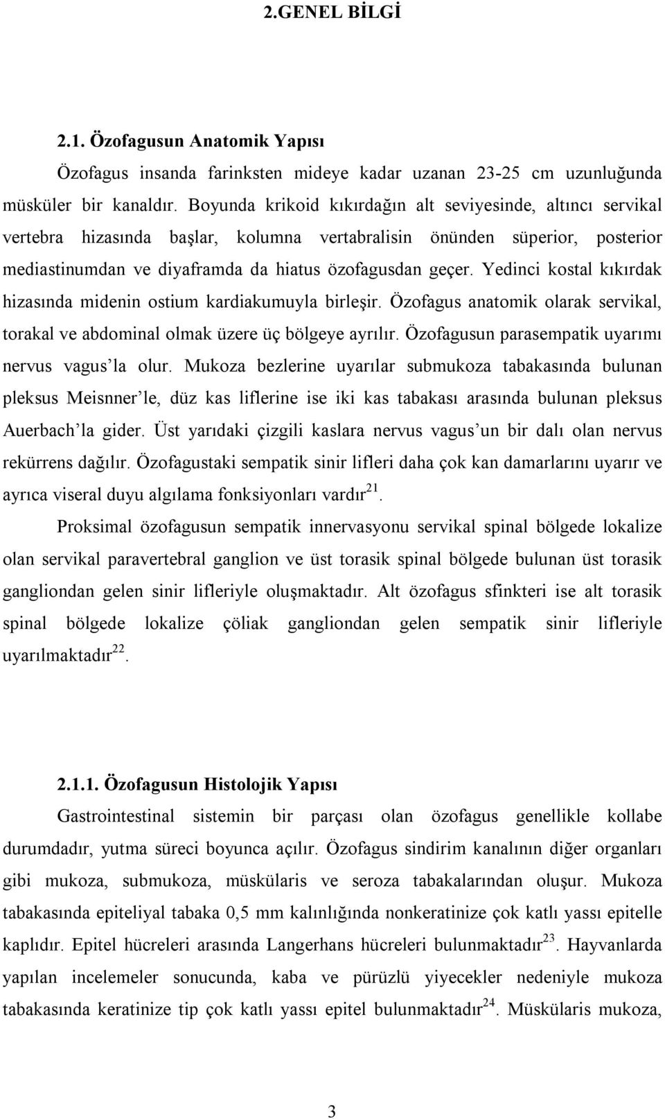 Yedinci kostal kıkırdak hizasında midenin ostium kardiakumuyla birleşir. Özofagus anatomik olarak servikal, torakal ve abdominal olmak üzere üç bölgeye ayrılır.