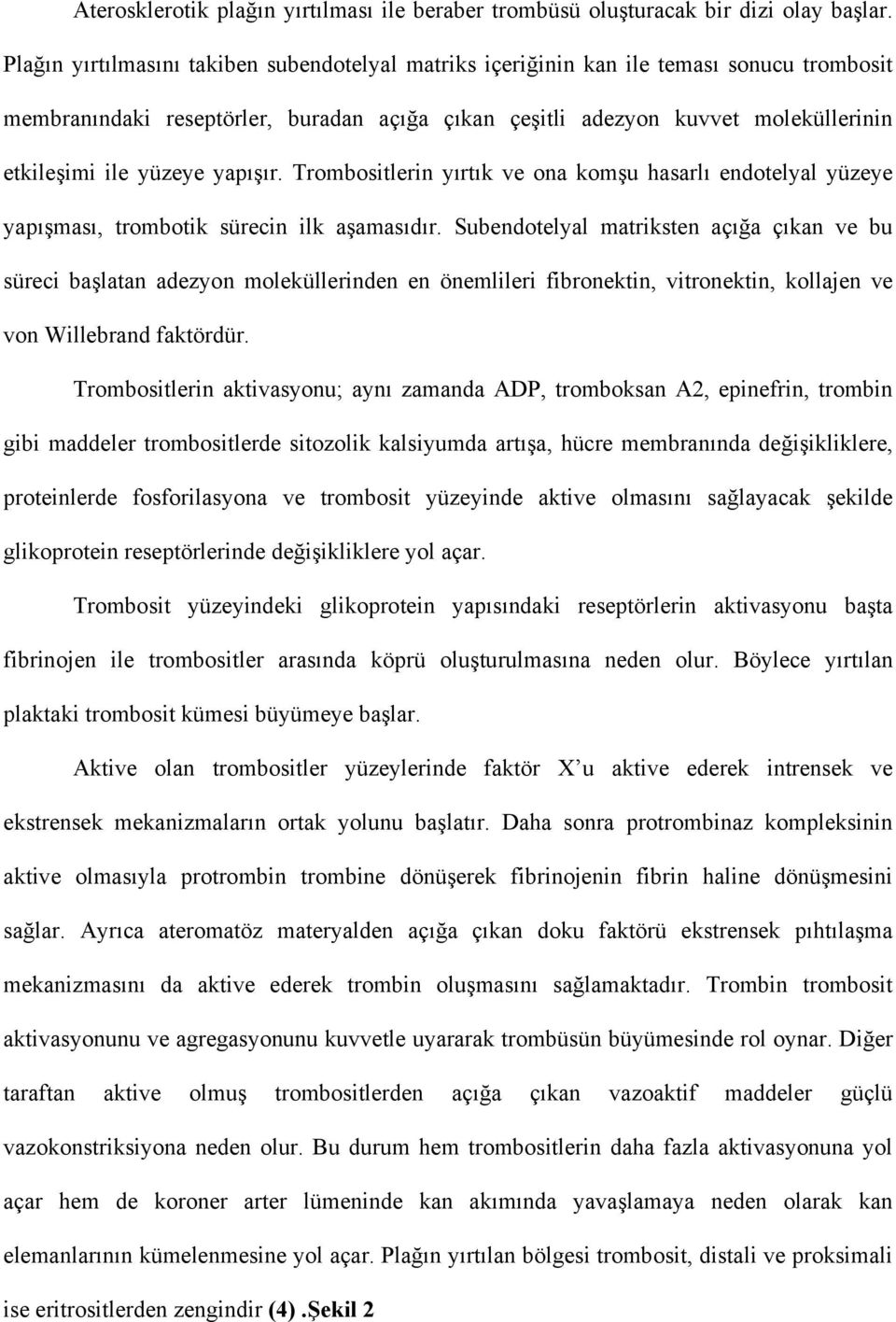 yapışır. Trombositlerin yırtık ve ona komşu hasarlı endotelyal yüzeye yapışması, trombotik sürecin ilk aşamasıdır.