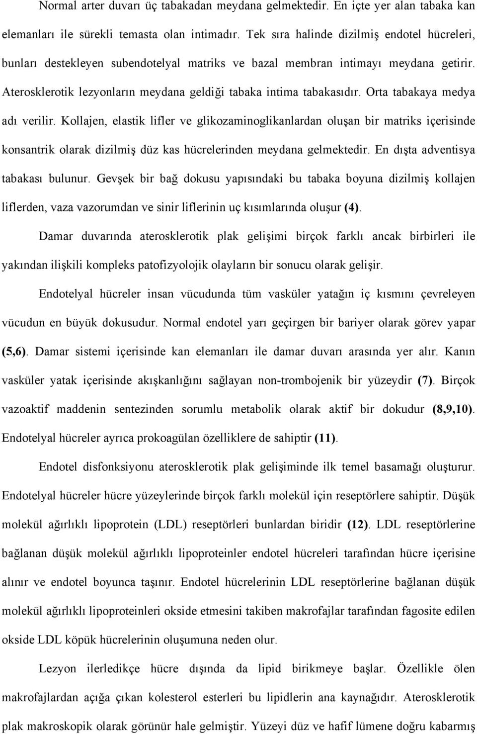 Orta tabakaya medya adı verilir. Kollajen, elastik lifler ve glikozaminoglikanlardan oluşan bir matriks içerisinde konsantrik olarak dizilmiş düz kas hücrelerinden meydana gelmektedir.