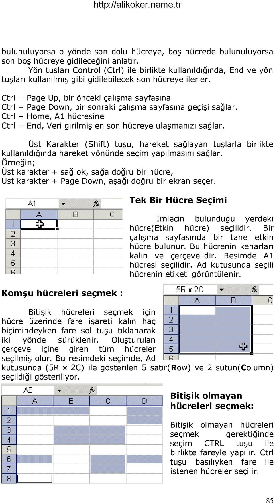 Ctrl + Page Up, bir önceki çalıģma sayfasına Ctrl + Page Down, bir sonraki çalıģma sayfasına geçiģi sağlar. Ctrl + Home, A1 hücresine Ctrl + End, Veri girilmiģ en son hücreye ulaģmanızı sağlar.